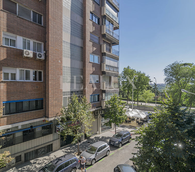 PintorRosales38_33